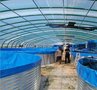 圆形支架镀锌板养殖池帆布池 高密度养鱼养虾帆布水池鱼池蓄水池
