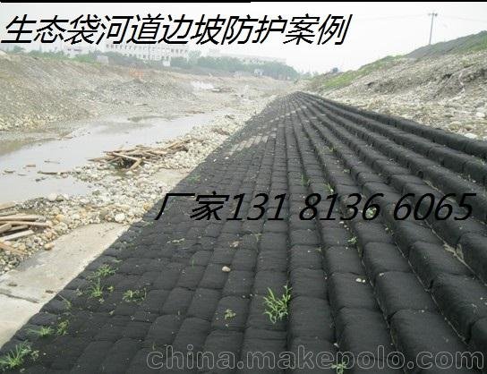 泰合植生袋，荒山綠化護體生態(tài)袋_公路護坡生態(tài)袋圖片