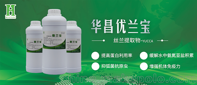 優(yōu)蘭寶-絲蘭提取物-緩解南美白對蝦腸道疾病預(yù)防效果好圖片
