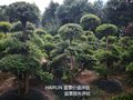 和田资产评估公司人为造成损失价值评估