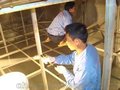 空调 玻璃灯具油烟机清洗 瓷砖美缝 公司保洁 大理石翻新养护