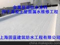 固蓝防水承接混凝土屋面防水补漏工程