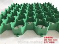 宁波植草格、富泰土工材料(图)、停车场专用植草格