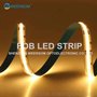FOB  LED STRIP 504LED/M更高光效，双色温，无光斑
