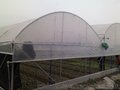 大棚秋茬病虫害，大棚工程，芳诚温室