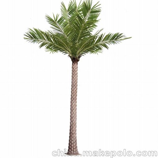 廠(chǎng)家直銷(xiāo)仿真銀海藻樹(shù)椰子樹(shù)，人造環(huán)保棕櫚樹(shù)葉海棗樹(shù)葉圖片