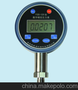 YSB-120型数字精密压力表