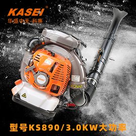 KESAIKS890ʽͶ๦ܴɭַѩ