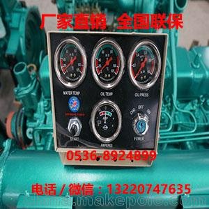 濰坊德力爾ZH4102粉煤機(jī)柴油發(fā)動機(jī)全新優(yōu)質(zhì)圖片