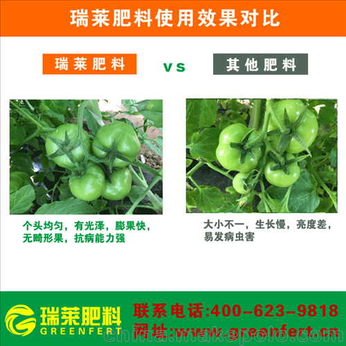 一肯中水溶肥 瑞萊肥料(圖) 水溶肥代理圖片