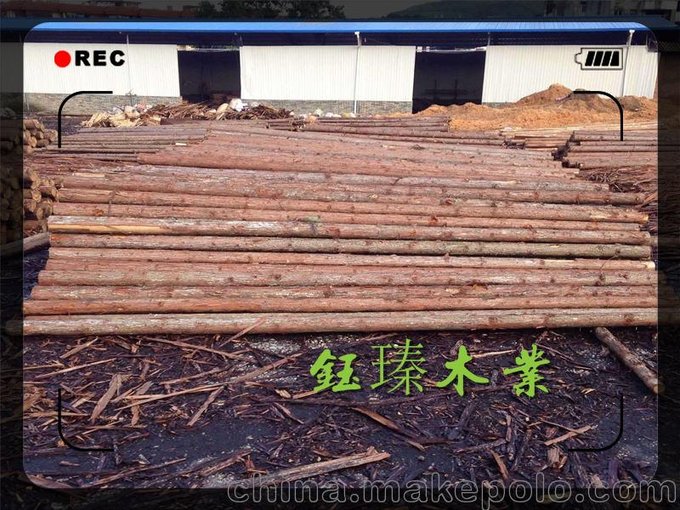 遼陽園林綠化支樹木批發(fā)供應(yīng)商圖片