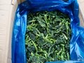 速冻蔬菜前处理设备豆角连续式漂烫机