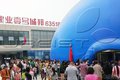 租赁鲸鱼岛乐园举办活动受欢迎 厂家直租优惠多