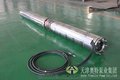 天津较好的不锈钢潜水泵厂-QH潜水泵质量厂家-316L潜水泵