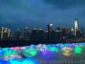 灯光展览玫瑰花海出租 大面积玫瑰花海租赁