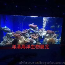 广州大型海鲜池鱼缸定做厂家 广州正佳海洋馆工程
