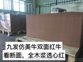 双面牛卡纸与单面牛卡纸的不同之处