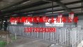 猪用喂料设备 自动化养猪料线