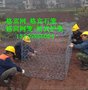 4x1x1格宾网笼价格 河道生态护岸格宾网笼 沉排坝护脚格宾网笼