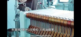 科美特 常州 komet 冷榨機 榨油機 冷榨 美藤果 印加果 星油藤