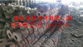 福建草字砖批发
