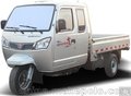 云南 福田五星200ZH-11(JL)汽油三轮摩托车