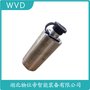 SK-B-ZT一體化振動(dòng)溫度變送器 WVD