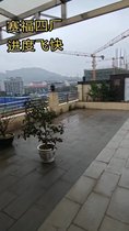 賽福(四)廠