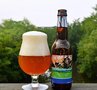 图乐  濒临愚蠢帝国IPA
