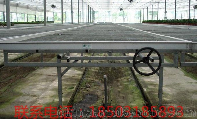 質(zhì)優(yōu)價廉 整體苗床  熱鍍鋅工藝苗床廠家-漢明苗床網(wǎng)廠家直銷圖片