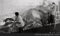 县傅抱石字画鉴定拍卖
