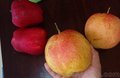 红梨苗批发价