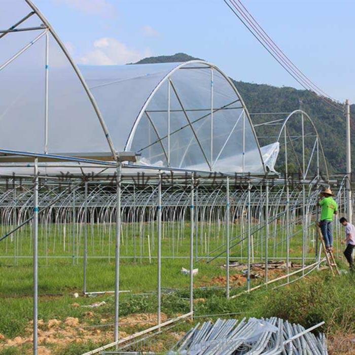 温室工程承接各种连栋温室大棚骨架 蔬菜大棚管 连体大棚钢管