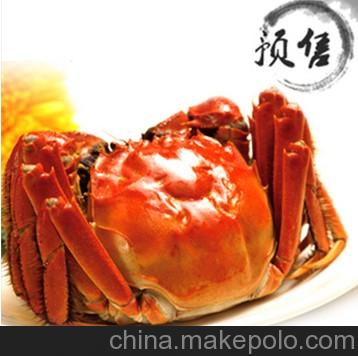 陽澄湖大閘蟹母蟹供應商家  陽澄湖大閘蟹母蟹價格