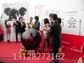 提供LED幻彩启动球出租