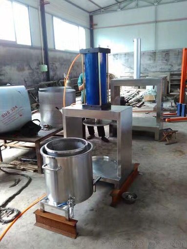 恒越未來HYWL500L雙桶醬腌榨菜壓榨機(jī)圖片