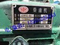 锡柴CA4DW93-84E3F发动机总成