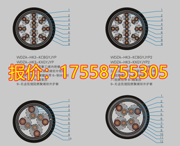 ٺվ| WDZA-HK3-KCBGYJYP3-23 |