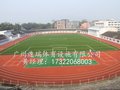 西藏拉萨新国标全塑型塑胶跑道材料生产厂家 学校塑胶跑道施工