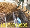河堤修整格宾笼安平鑫隆@ 江西萍乡防汛灾害治理格宾网箱