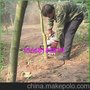 混合油起树苗机 挖树机 带土球起树苗机厂家