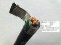 供应UL认证灌溉电缆12gague11Cond UL1263喷灌机电缆