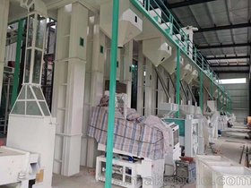 大米生产线 日产150吨精米生产线 碾米成套设备 风网
