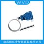 LRJY-501投入式液位計 WVD