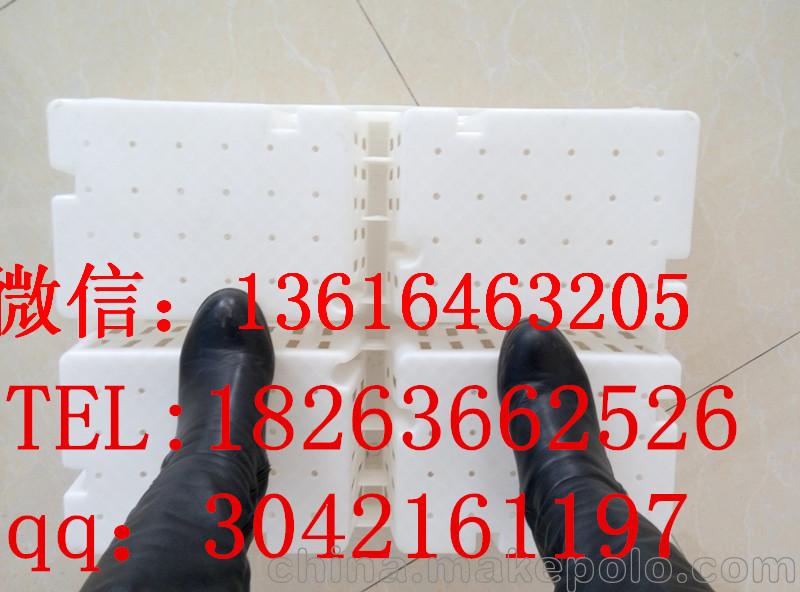 供應雛雞周轉筐 雞苗筐 雛雞運輸箱 塑料小鴨運輸箱