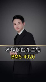 不锈钢钻孔电主轴BMS-4020