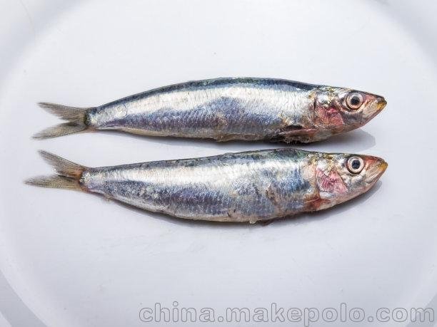 廣州進口智利三文魚報關報檢流程及時效圖片