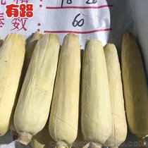 玉米棒生产厂家 玉米棒批发价格 山东有路供应速冻粘玉米