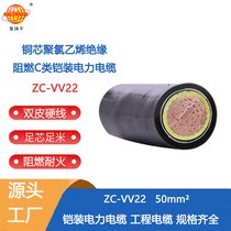 h(hun)늾| ȼ|zbZC-VV22 1*50ƽ