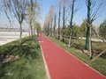 真石丽无积水透水混凝土地坪 全面助力青岛美丽乡村建设项目推广